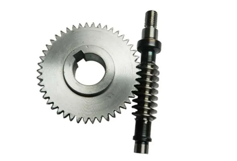 Worm Gear